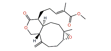 Acalycixeniolide H